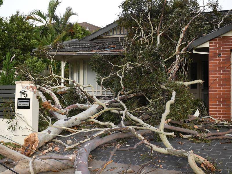 Up to 24,000 Ausgrid customers remain without power after severe storms battered Sydney.