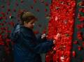 Centenary of the Gallipoli landing at the Shrine of Remembrance in Melbourne. A girl places a poppy in the poppy wall at the Shrine. Photo Justin McManus