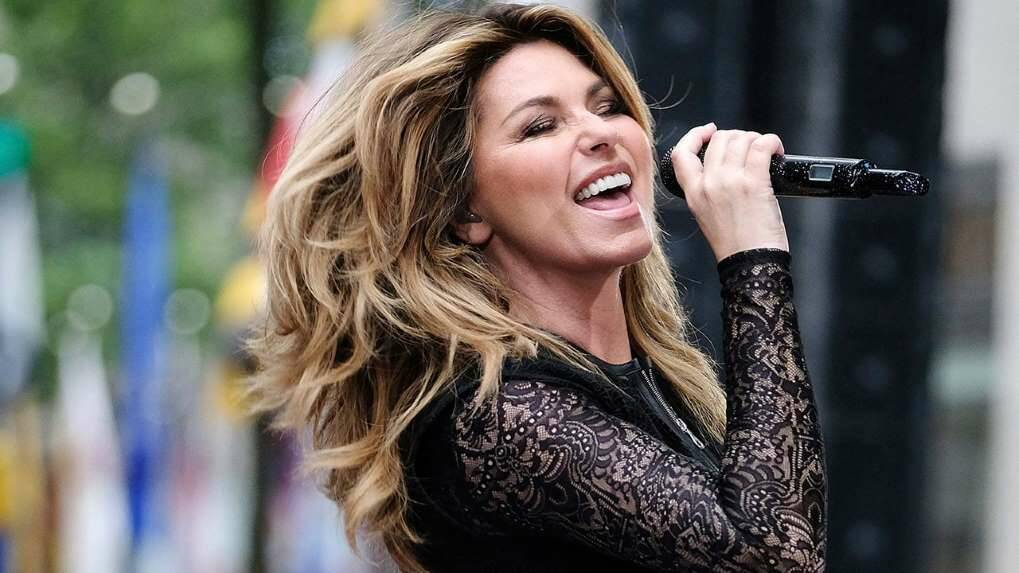 Shania Twain says she doesn't hold 'any common moral beliefs' with Donald Trump.
