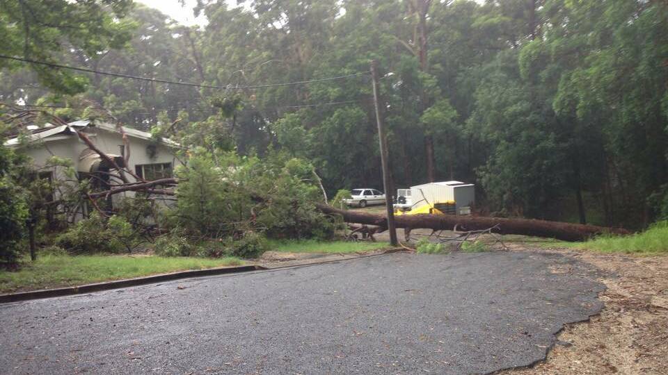 Tree down: The wet weather impacted on the Camden Haven SES Unit. Pic: NSW SES Camden Haven Unit Facebook