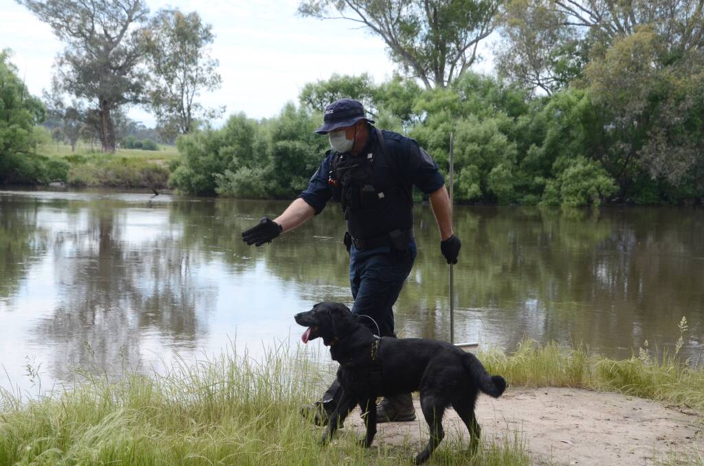 SEARCH: Senior Constable Adam Aitken with cadaver dog Tilly. 
