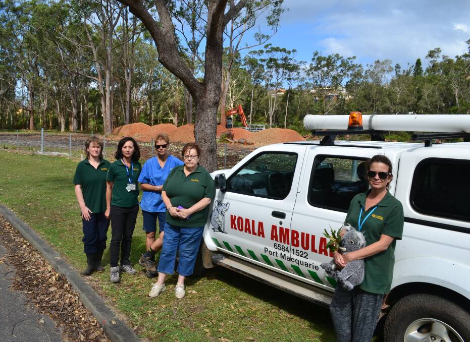 Protestors from the Koala Hospital were on site Thursday in an attempt to stop clearing work on Beach Street Bonny Hills.