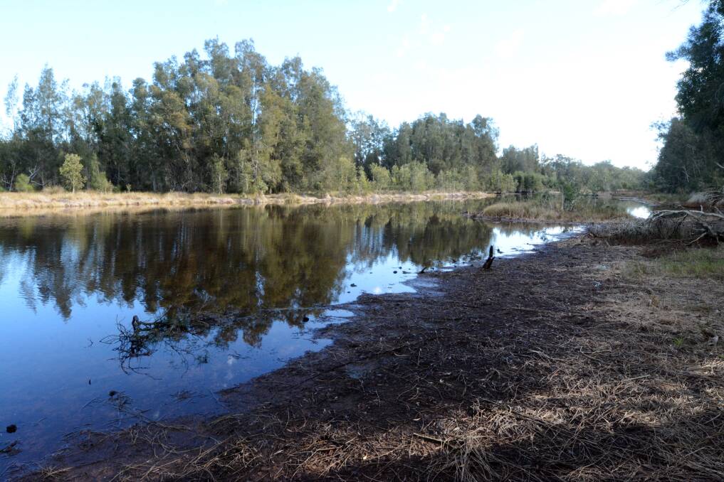 The wetlands in June 2019, a few months before bushfires would ravage the Mid North Coast. Photo: supplied.