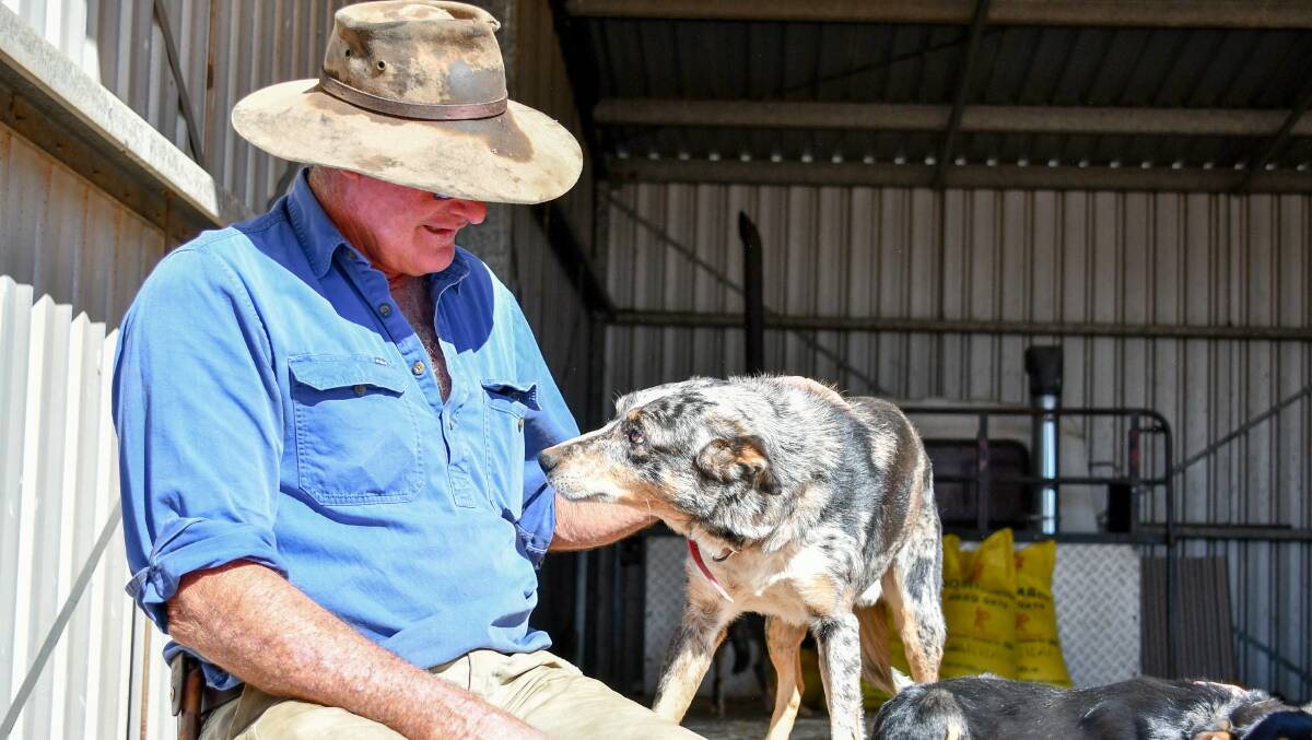 Graham Goodman with one of their surviving dogs. 