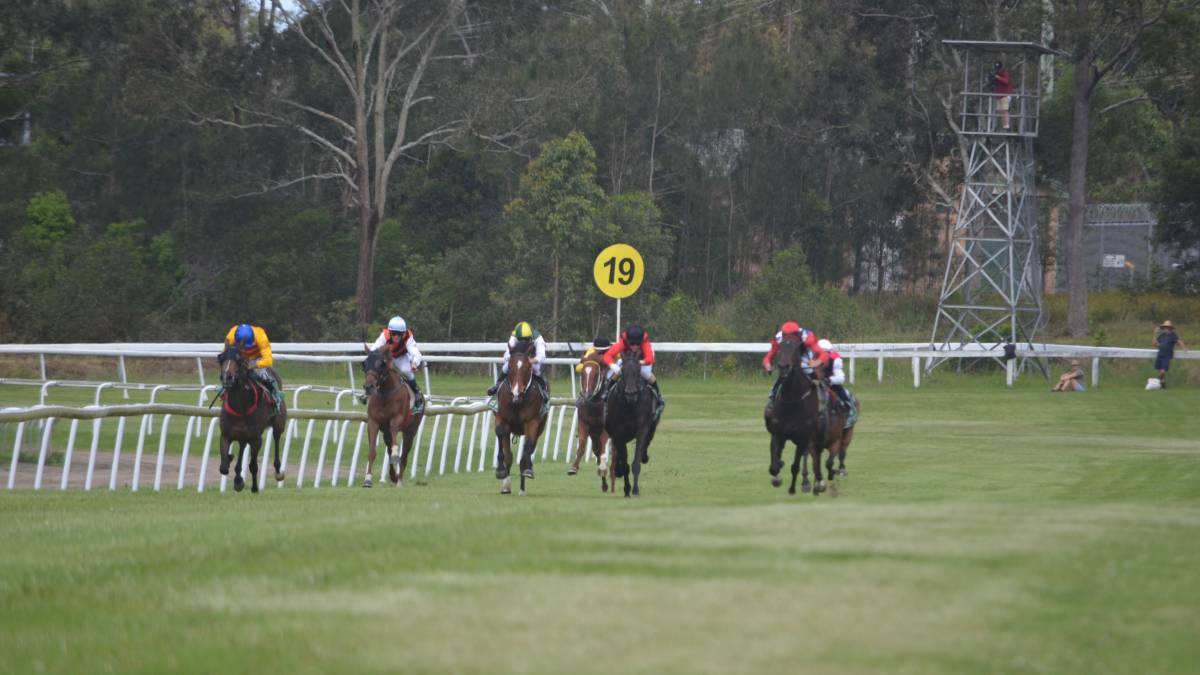 Horses sprint down the straight at the Kempsey Race Course. Photo: Callum McGregor