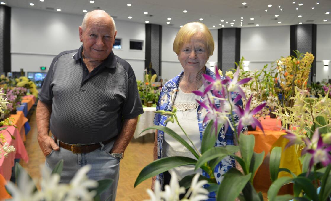 Norm and Margaret Paxton had a lot to see at the Orchid Show on Sunday.