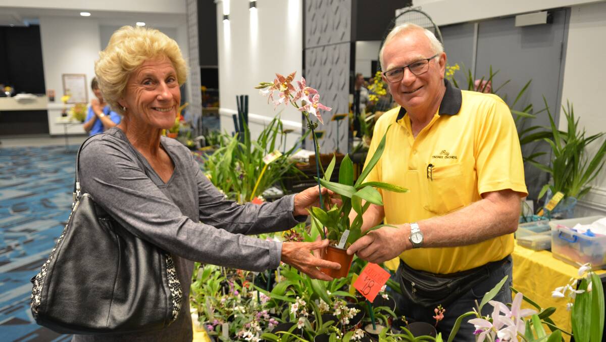 Lyn Zahra gets some advice on orchids from expert Ray Clement at the Orchid Show on Sunday.
