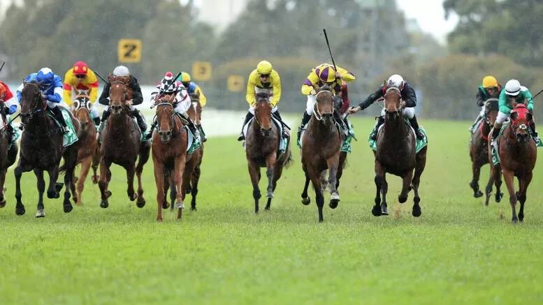 Blue and white: Nic's Vendetta (far left) is gunned down in a Highway Handicap at Rosehill. Photo: bradleyphotos.com.au