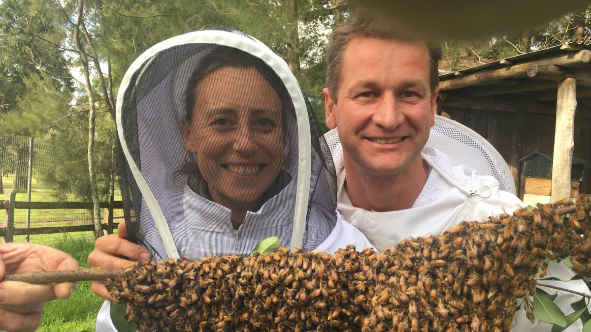 Buzzing: Ana Martin and her husband Sven on their bee farm at Johns River. Photo: supplied