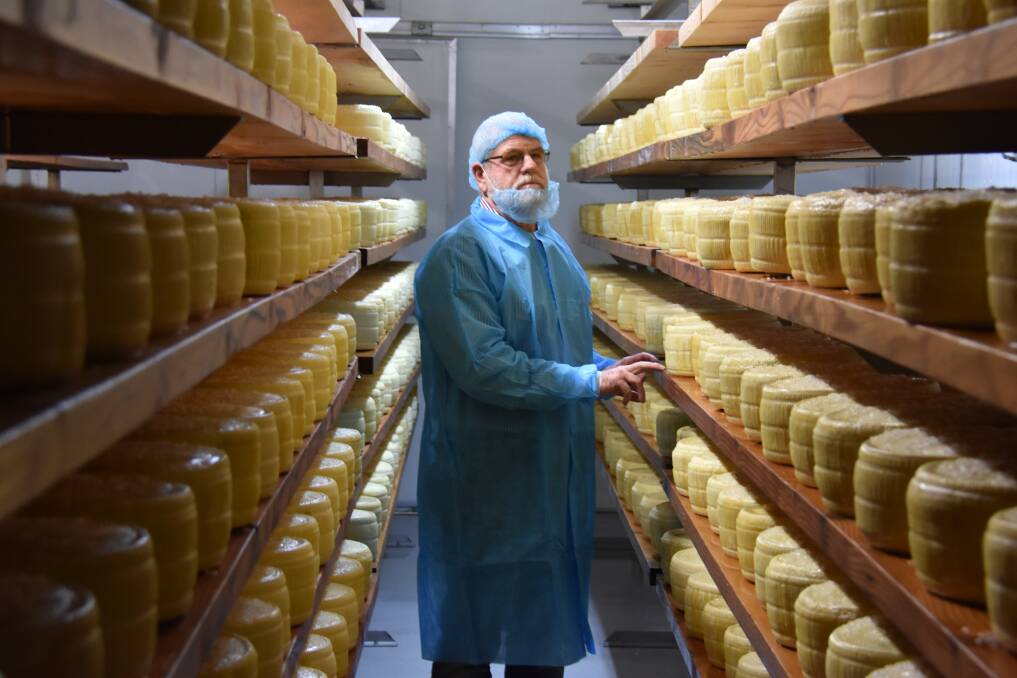 Close look: Mark Livermore of Real Dairy Australia inspects some of the cheese they make at the factory courtesy of local dairy farmers' produce. Photo: Matt Attard