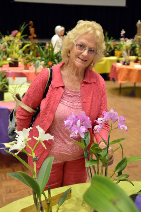 Beverley Alexander spotted this beautiful bromeliad at the Orchid Show on Sunday.