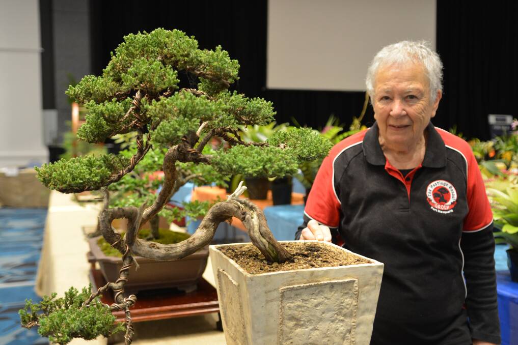 Jean Wilkinson and a stunning bonsai tree that was on display at the Orchid Show on Sunday.
