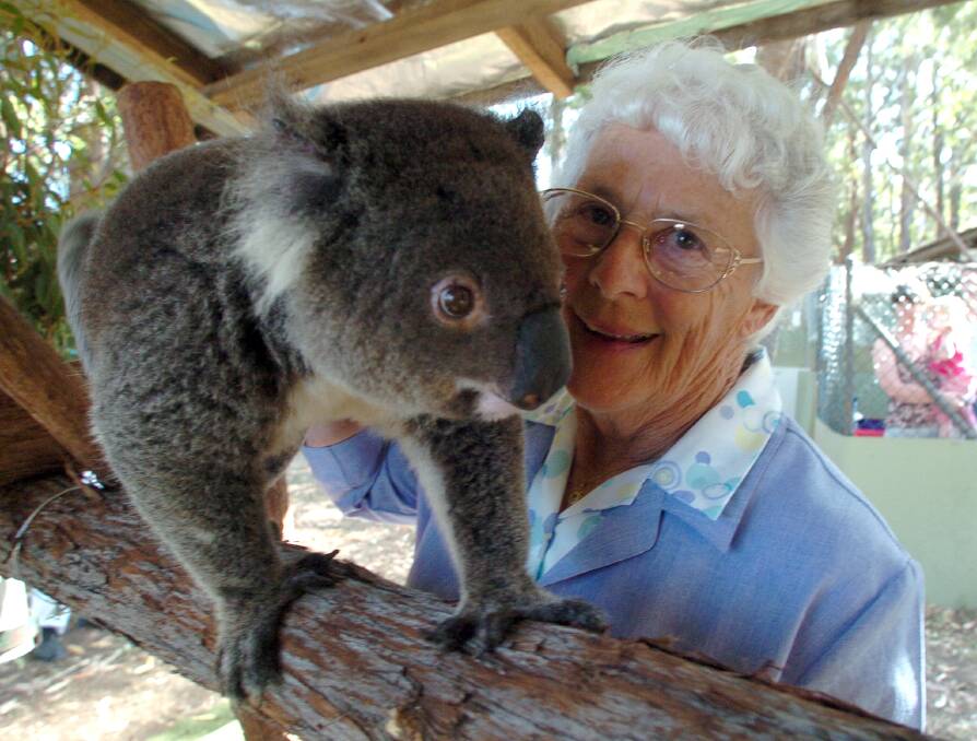 Wildlife warrior: Jean Starr with a furry friend at the Port Macquarie Koala Hospital in 2005.