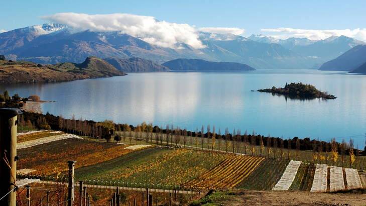 Sublime setting ... Rippon Winery, on the shores of Lake Wanaka.