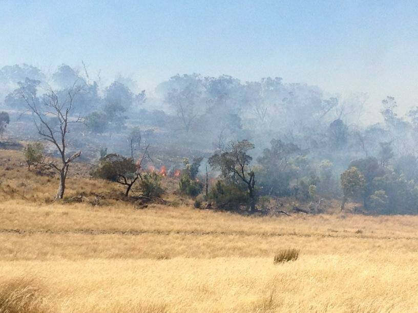 Crews fight to control a large bushfire in Epping Forest, Tasmania. Photo: HARVEY BIGGS