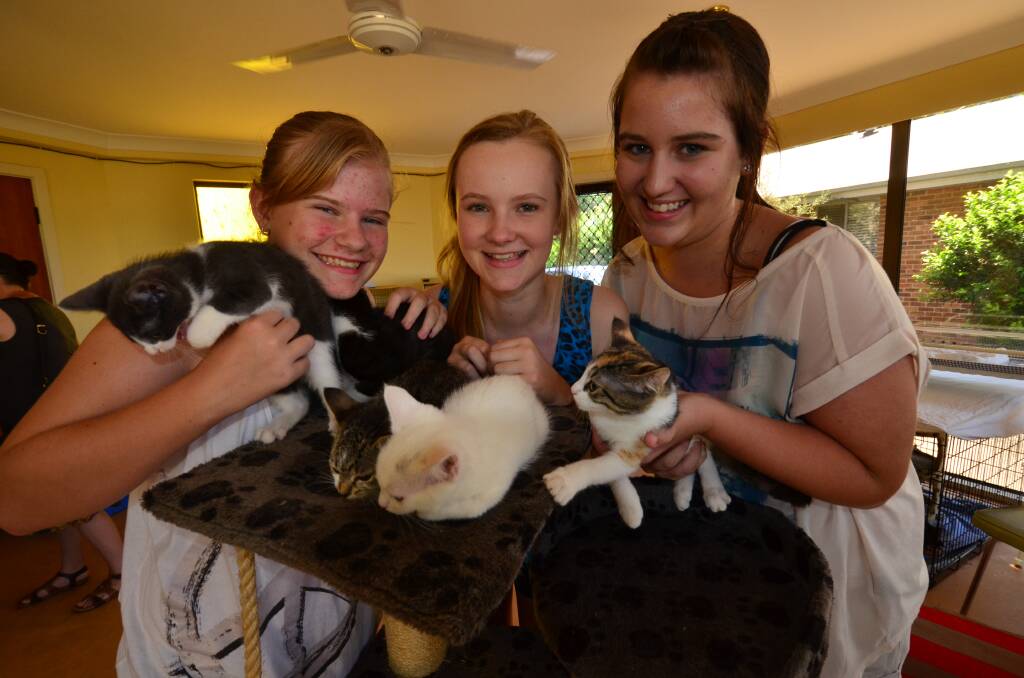 Bright future: Port Macquarie Animal Welfare Service carers Abby Burtenshaw, Tahlia McLennon and Chloe Burtenshaw play with some of the cats in care.