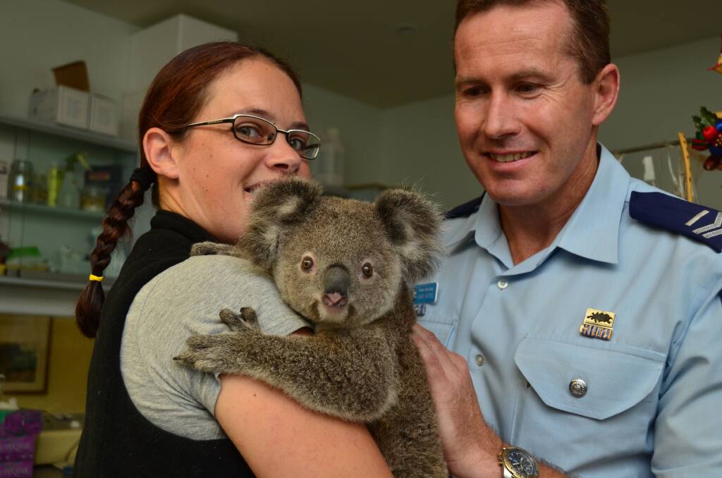 Success story: Port Macquarie Koala Hospital team leader and home carer Yon Veenstra holds the orphaned koala as Senior Constable Gary Bates looks on.                                                  Pic: NIGEL McNEIL