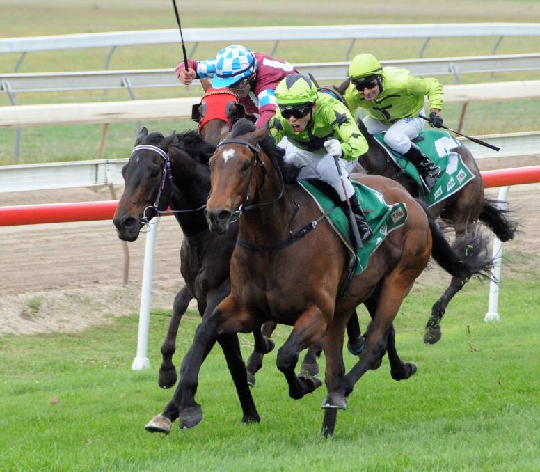 Action from the Port Macquarie track on Friday