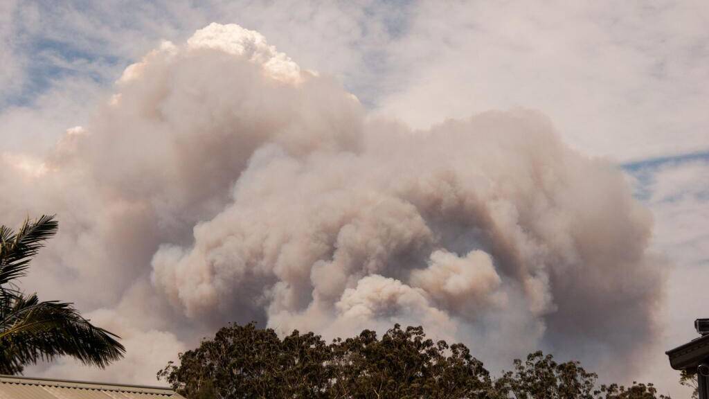 View of the Heatherbrae bushfire, north of Newcastle. Photo: @AndrewA65/Twitter