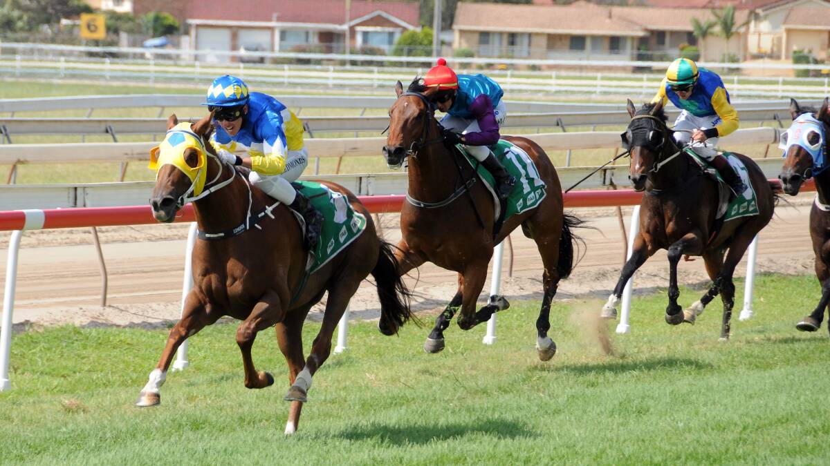 Sadler's Wish takes race four at Port Macquarie on Monday. Pic: PETER GLEESON