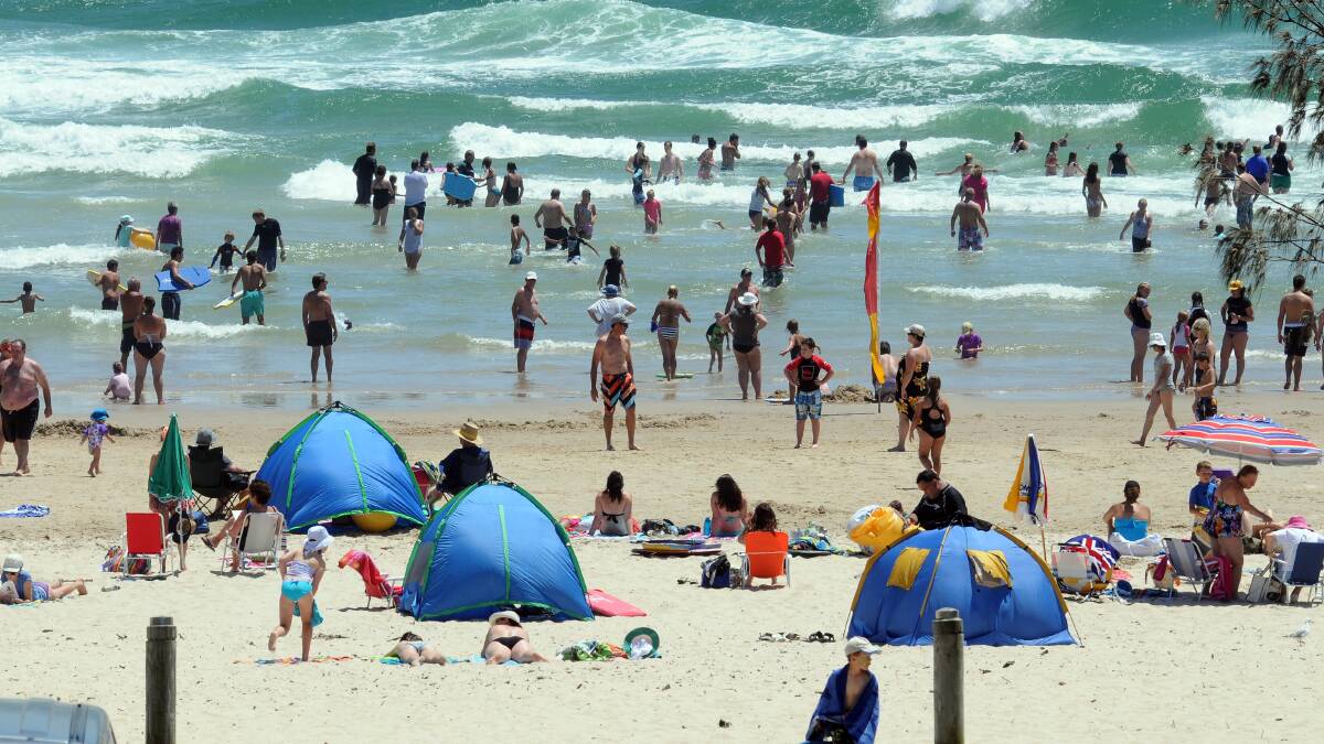 Out in force: Town Beach goers were undeterred by reports of a shark sighting yesterday. Pic: PETER GLEESON